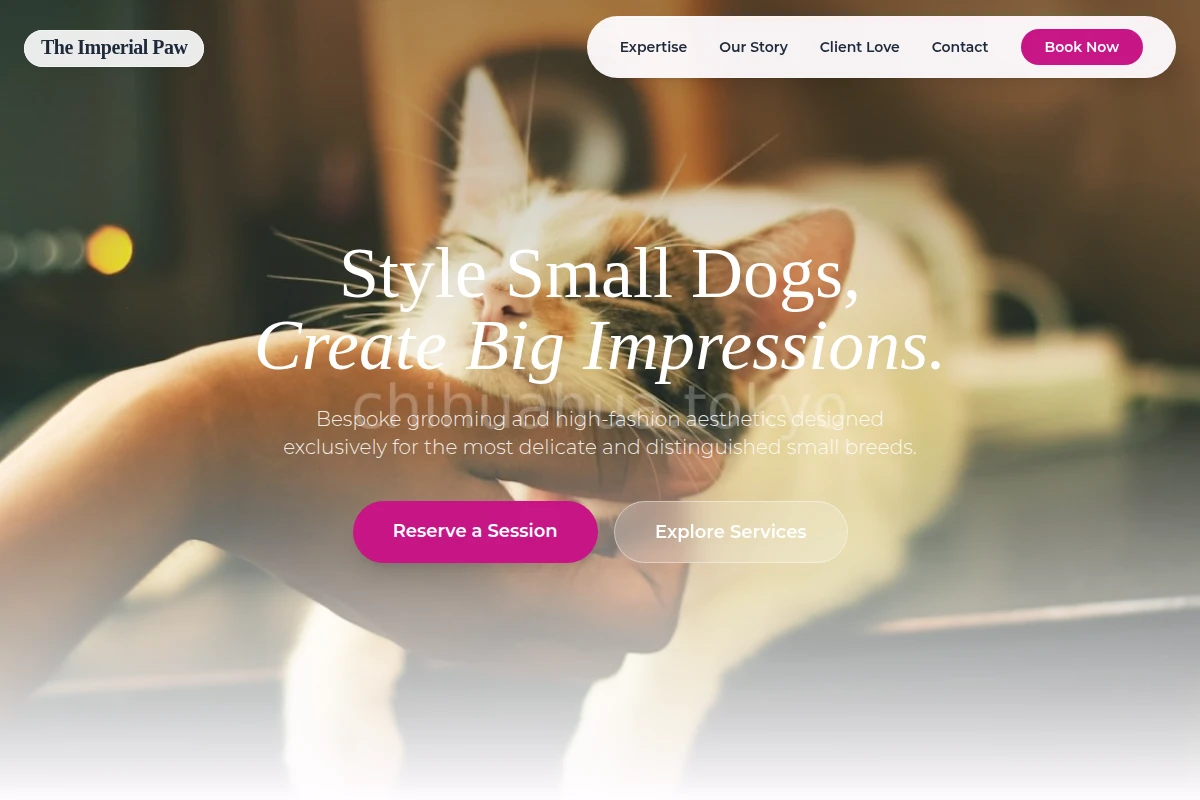 Studio Animal Care