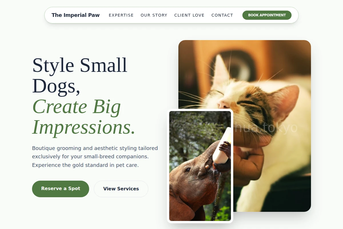 animal-care