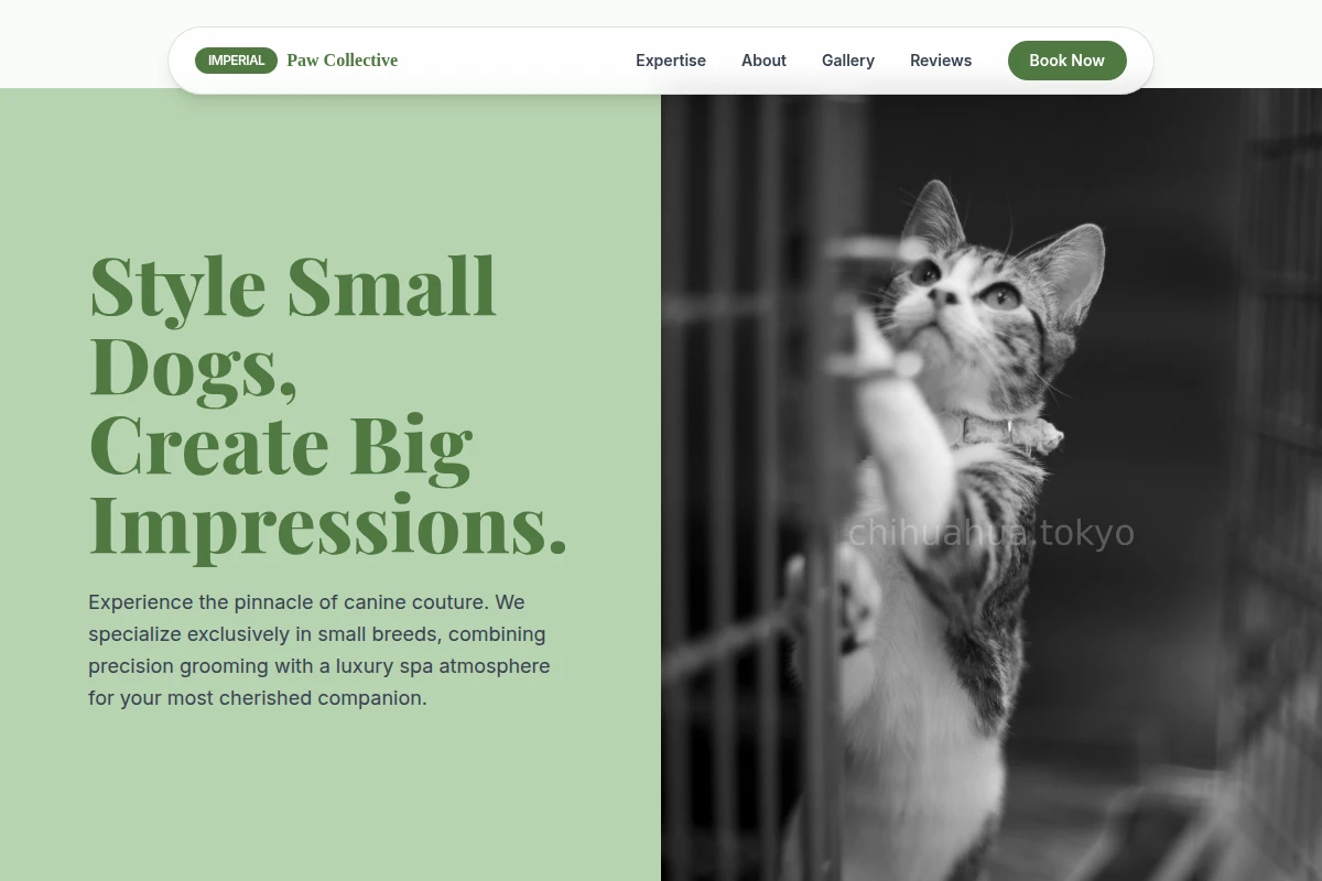 animal-care