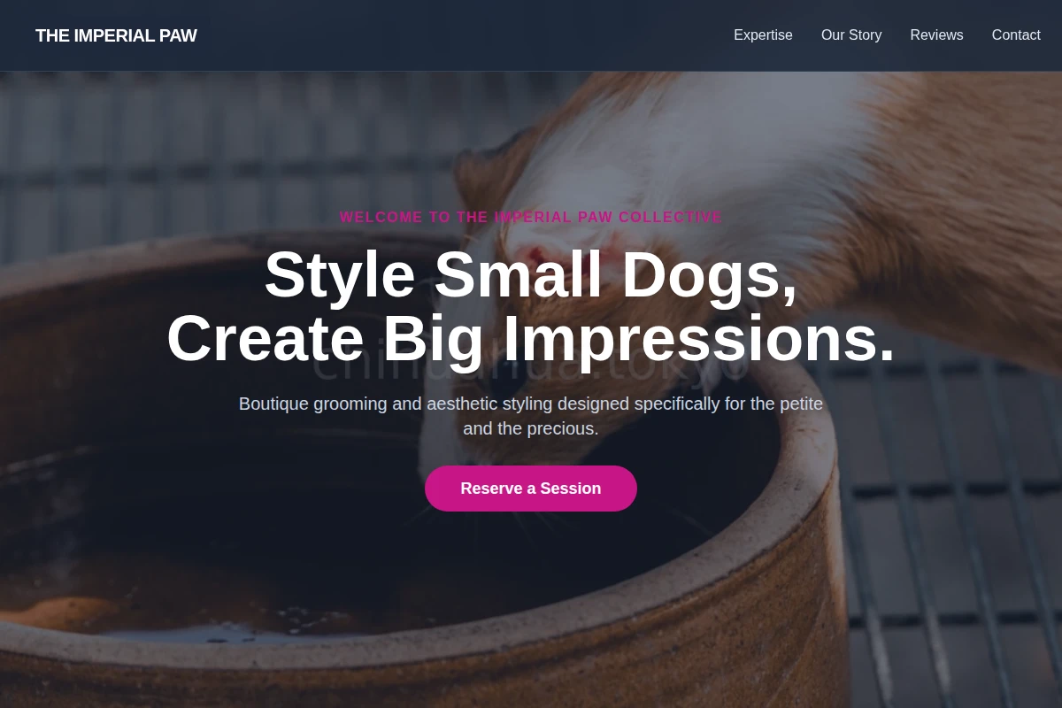 Metropolitan Animal Care