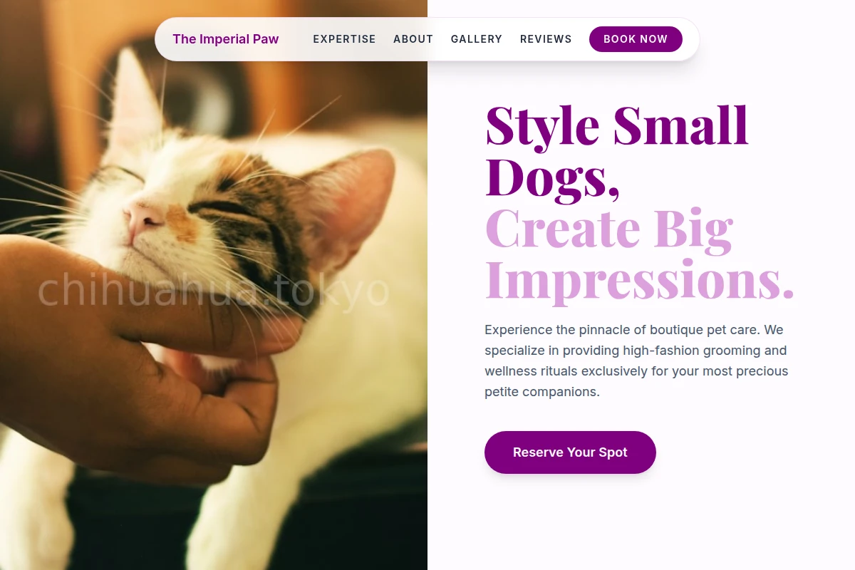 Studio Animal Care