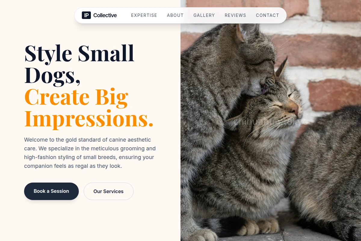 Shibuya Animal Care
