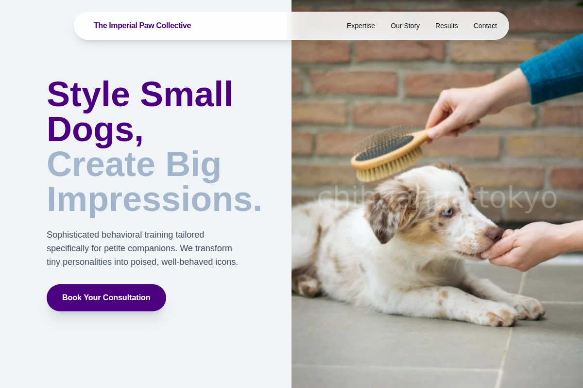 Brush Dog Training