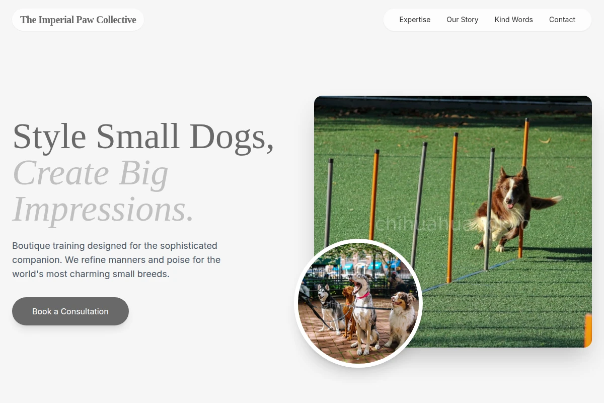 Chic Dog Training