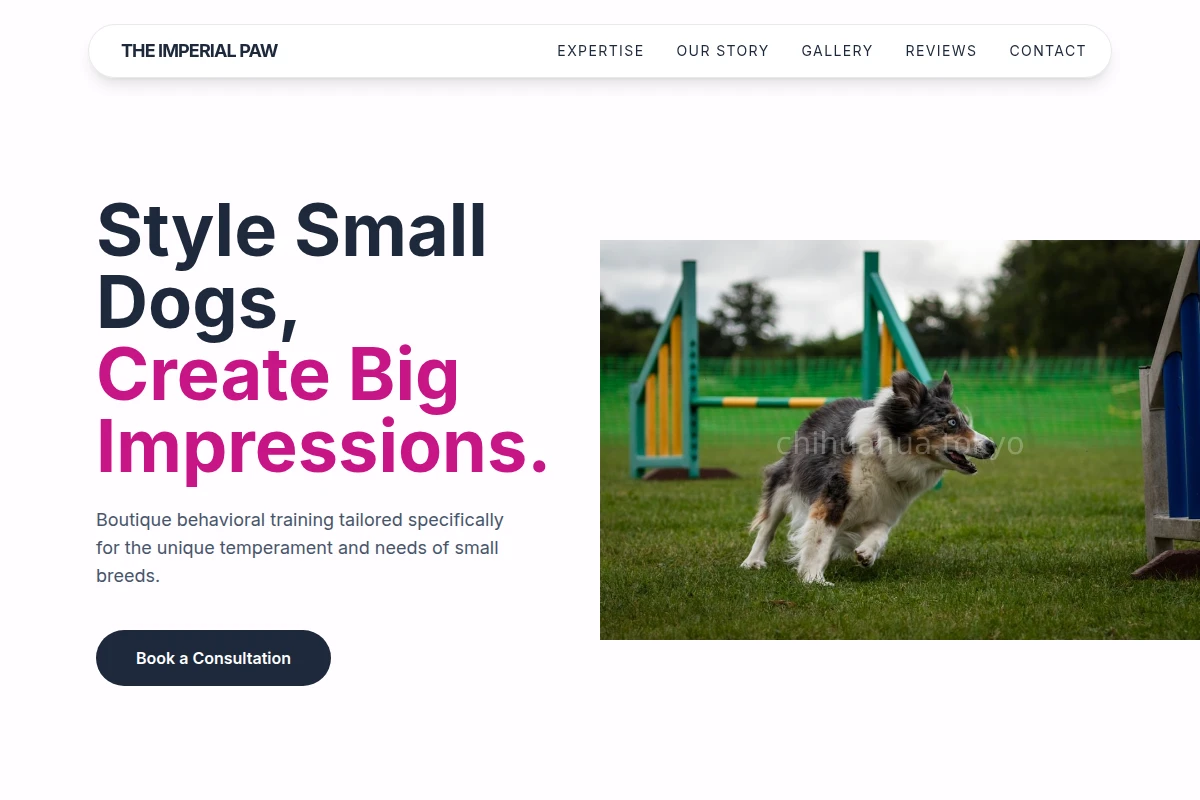 Bow Dog Training