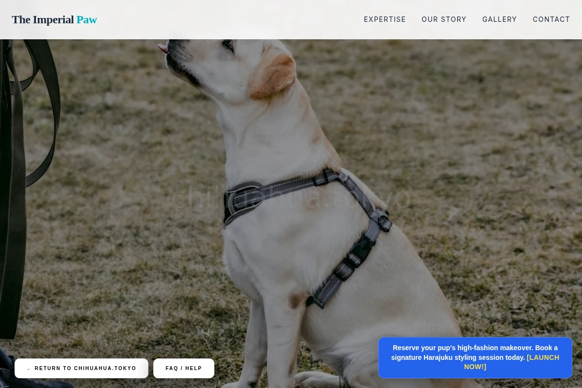 Trim Dog Training
