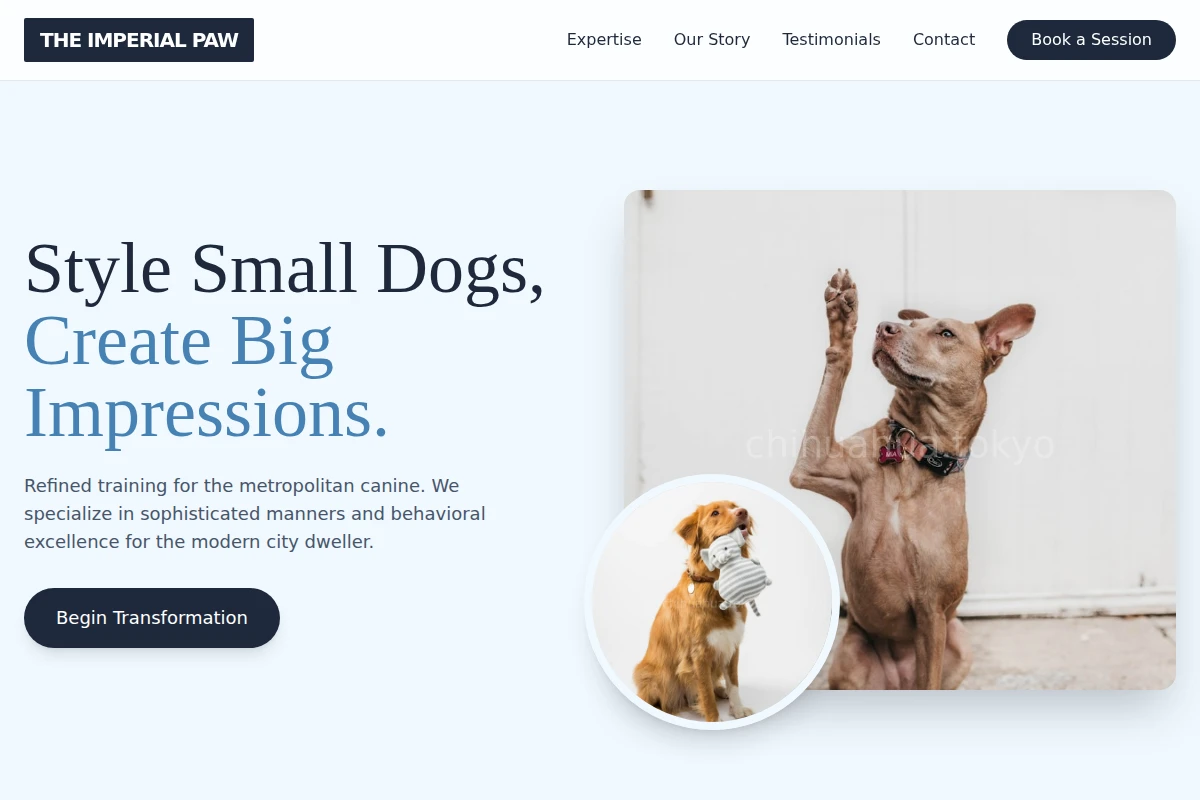 Metropolitan Dog Training