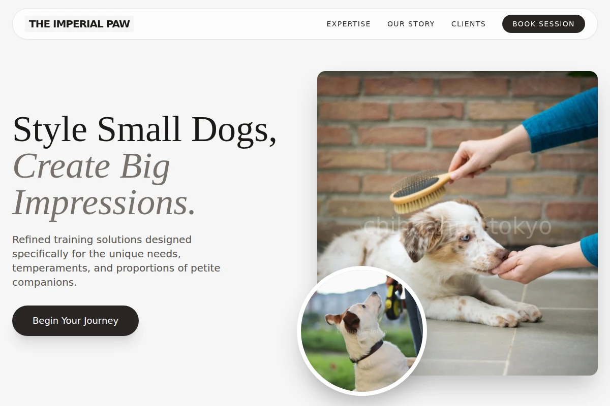 Detail Dog Training