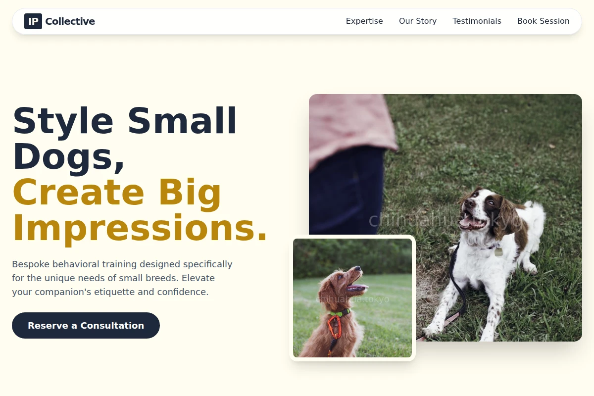 Clip Dog Training