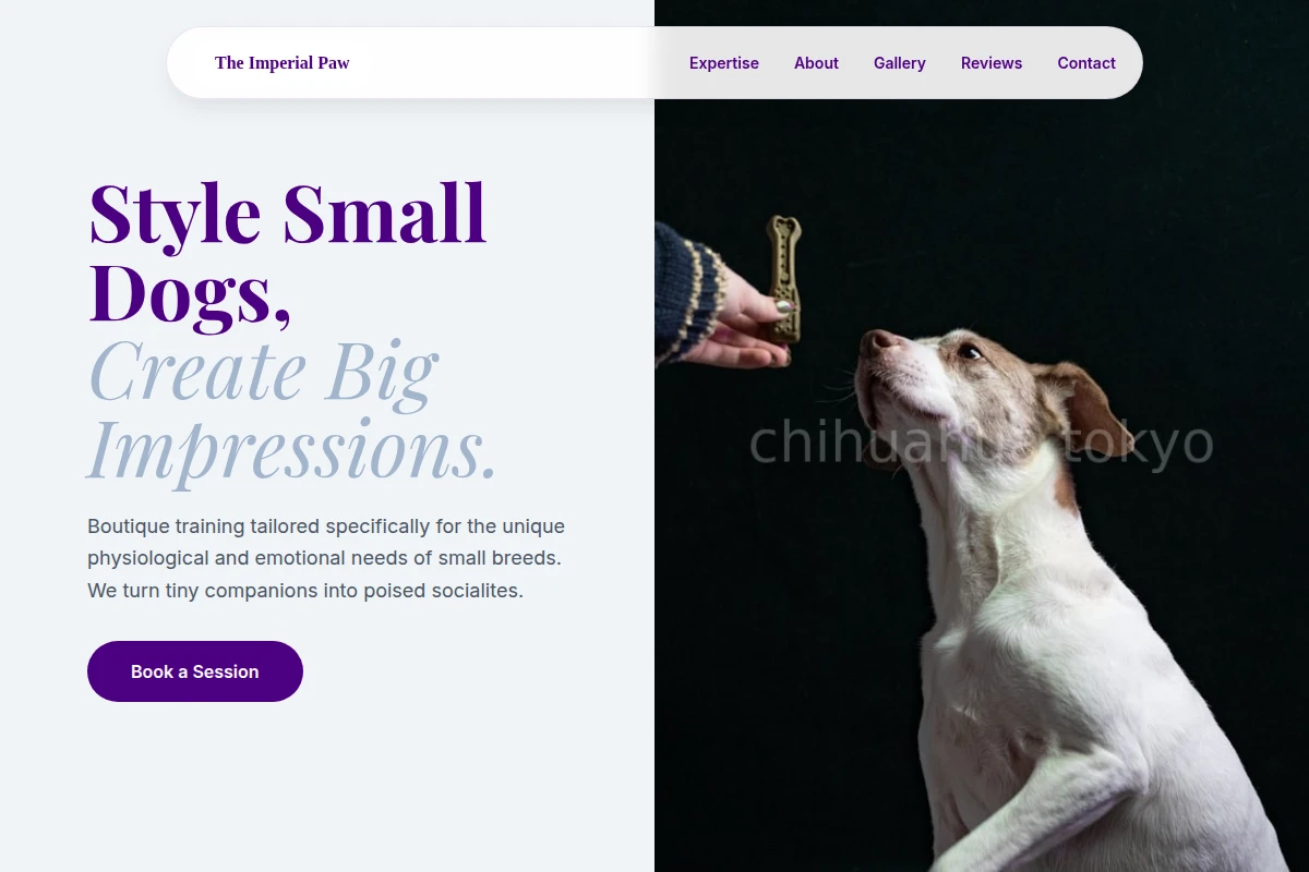 Compact Dog Training