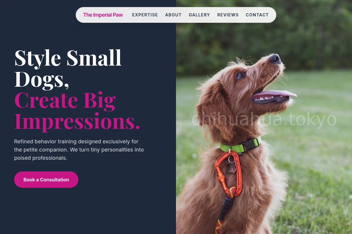 Bow Dog Training