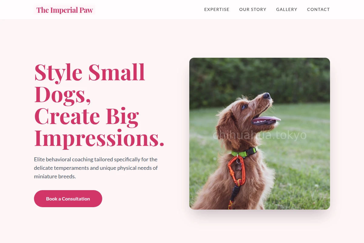 Miniature Dog Training