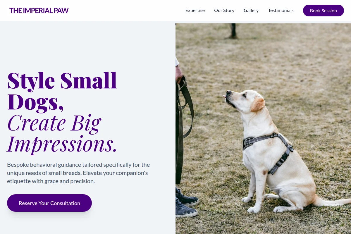 Boutique Dog Training