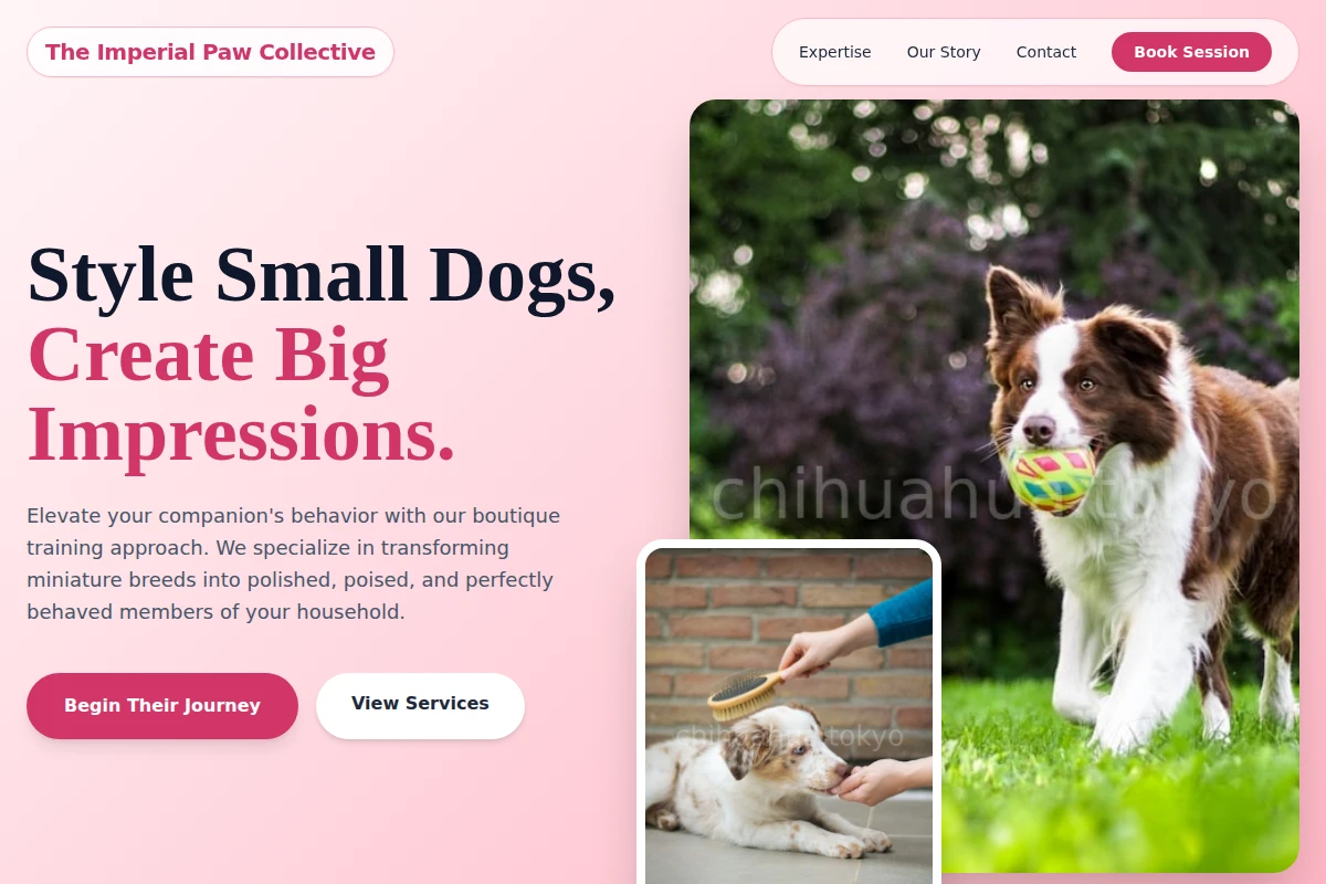 Bow Dog Training