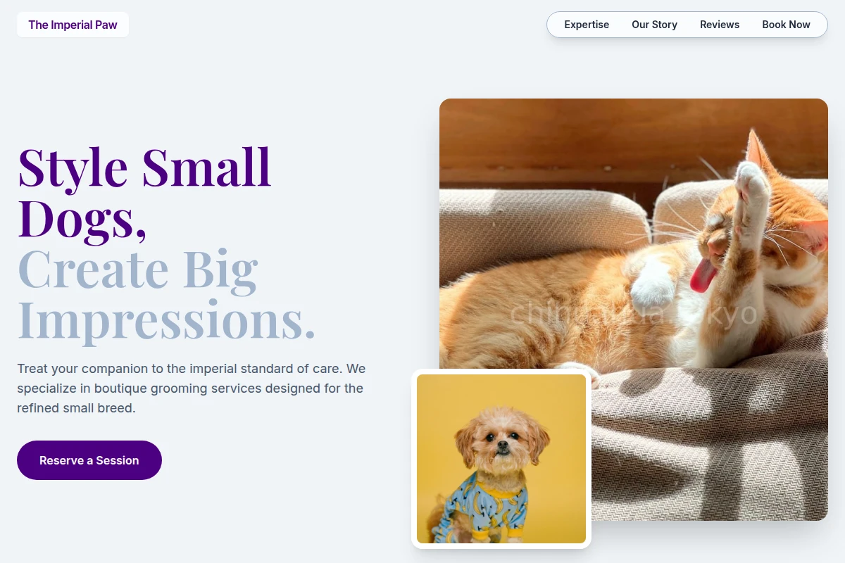 pet-grooming