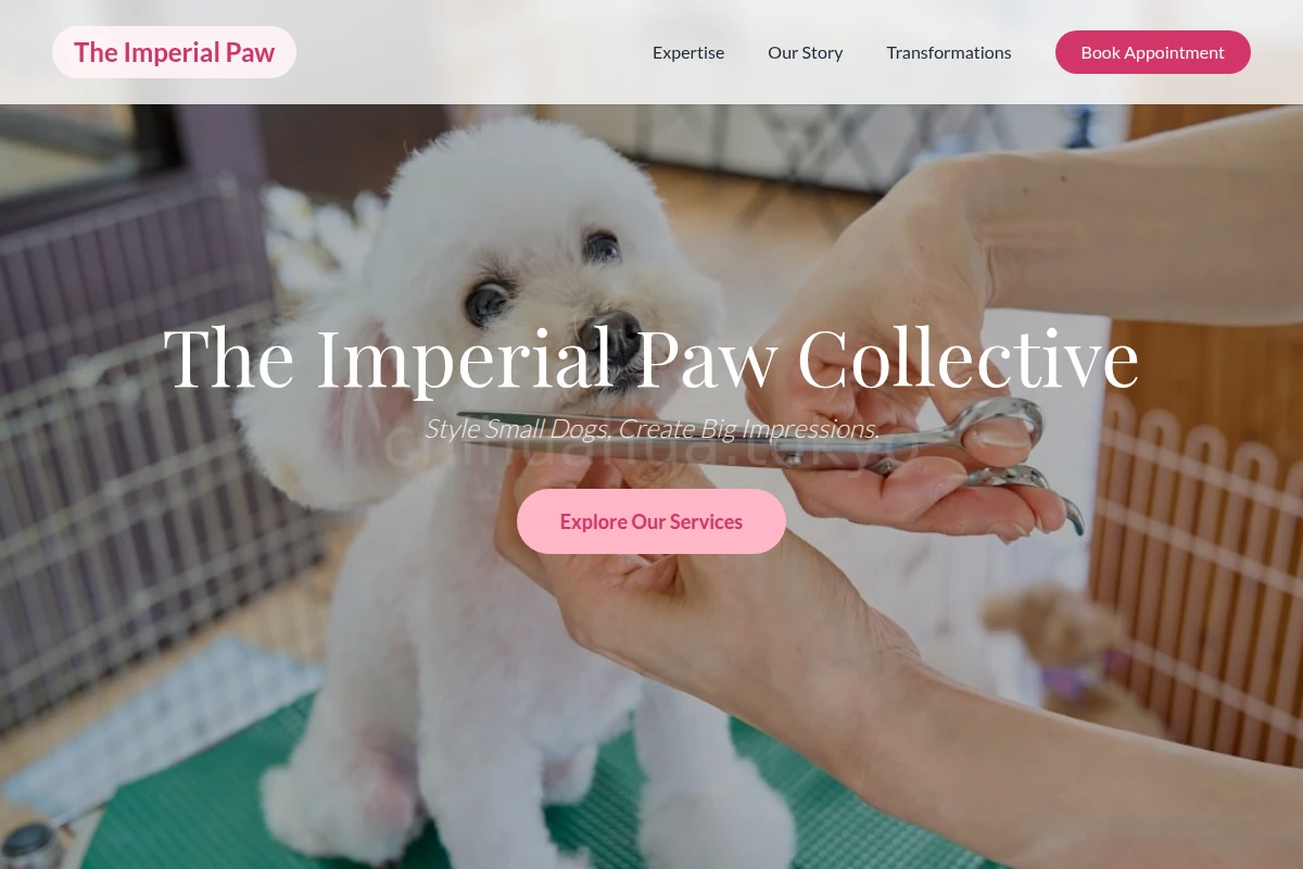 Bow Pet Grooming