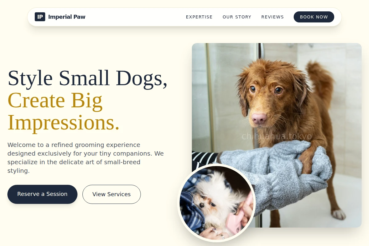 Detail Pet Grooming