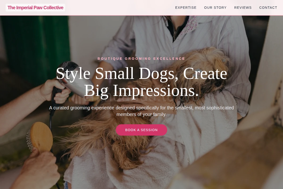 Bond Pet Grooming