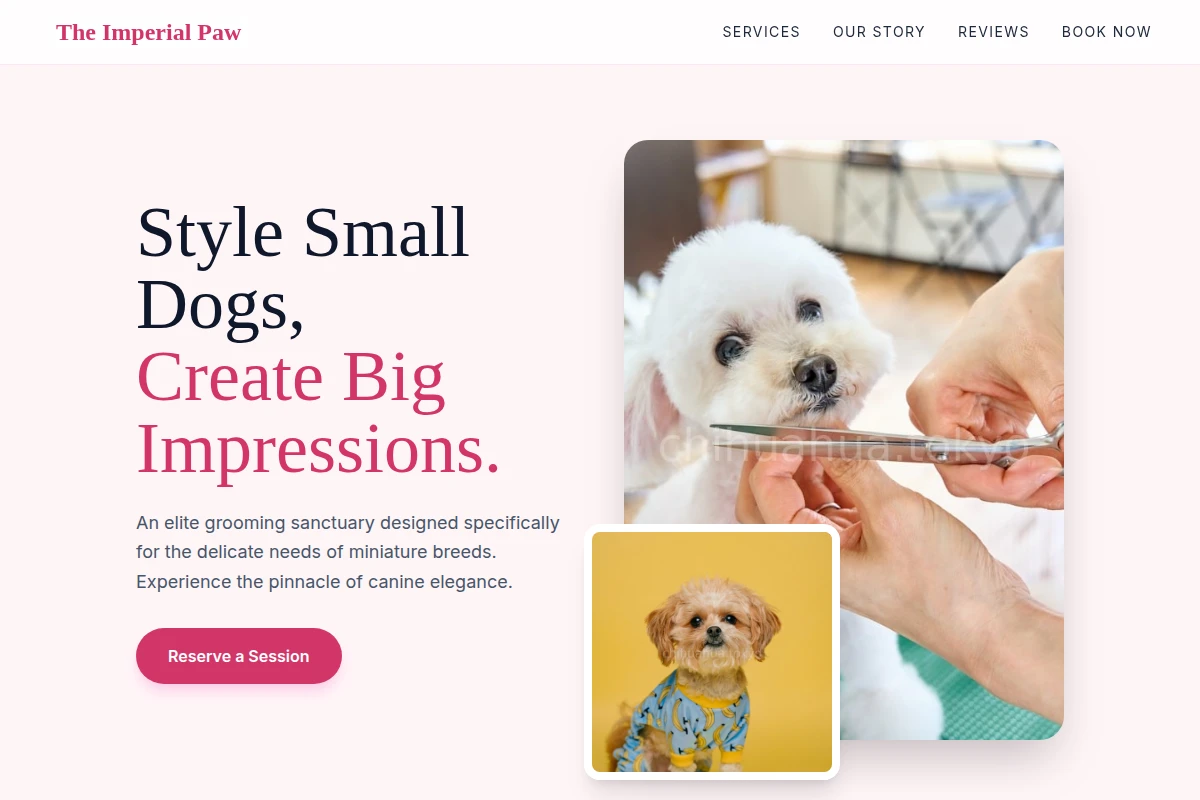 Luxury Pet Grooming