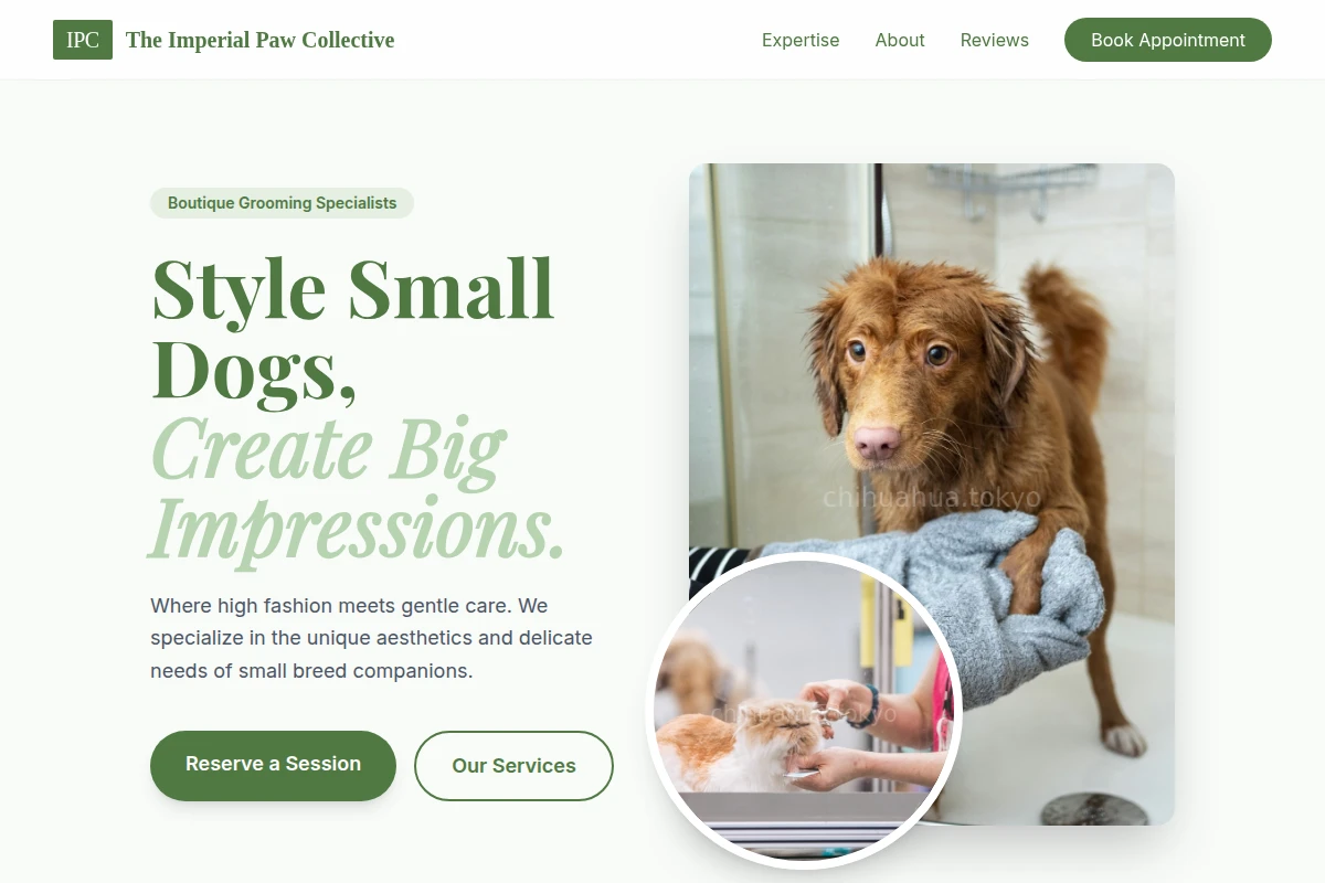 pet-grooming