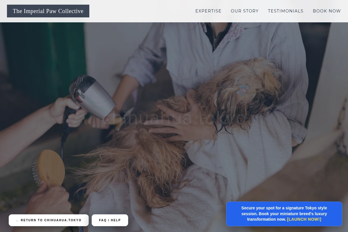 Miniature Pet Grooming