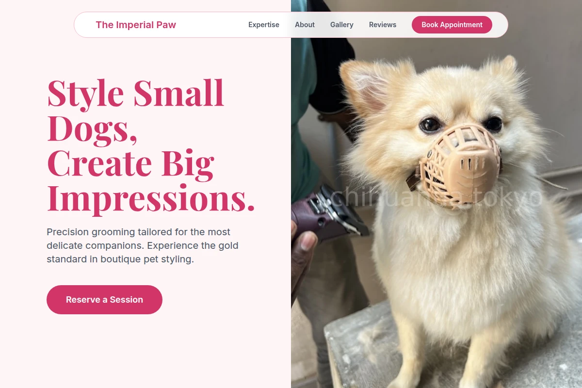 Precision Pet Grooming