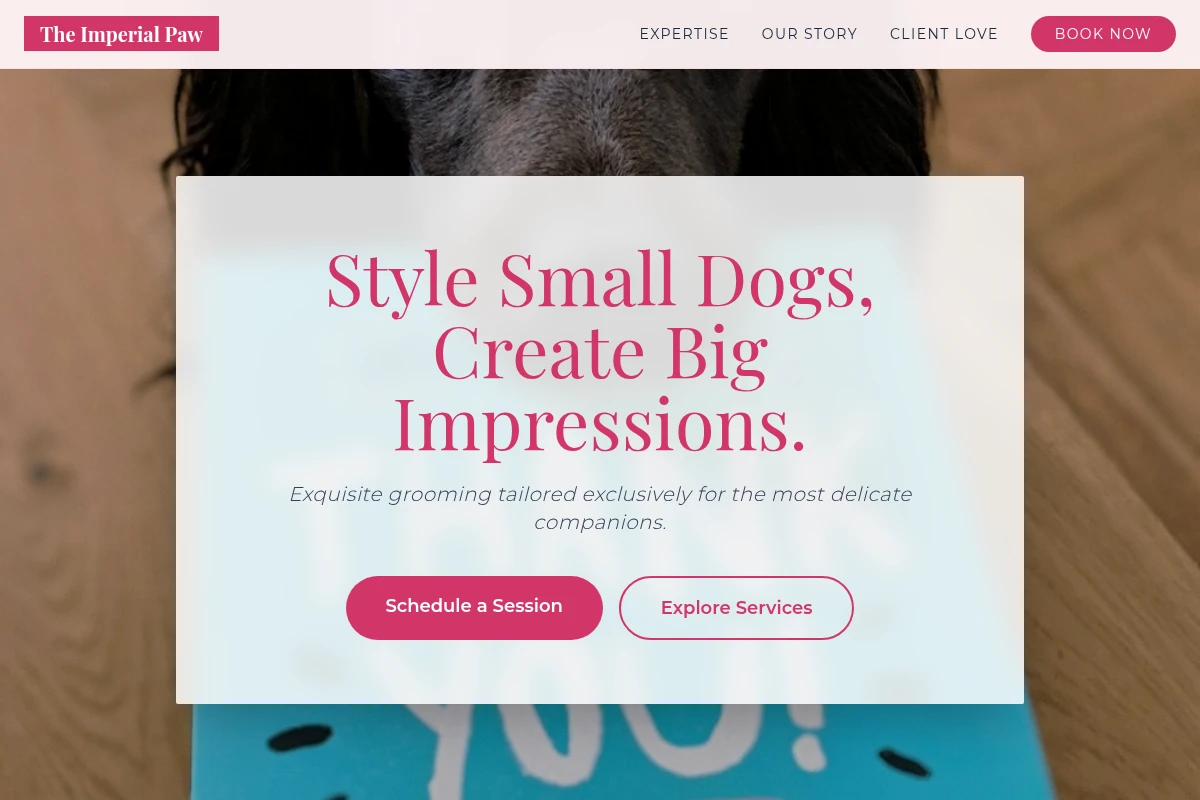 Bow Pet Grooming