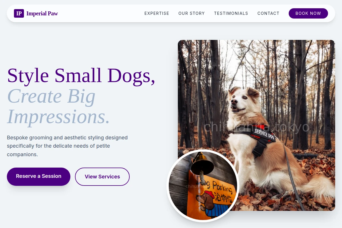Collar Pet Services